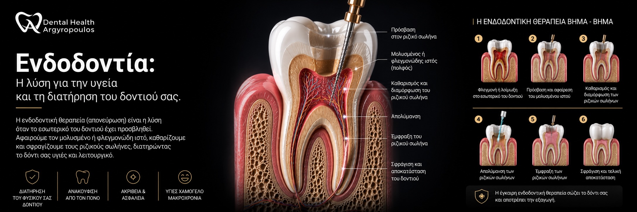 endodontia.jpg